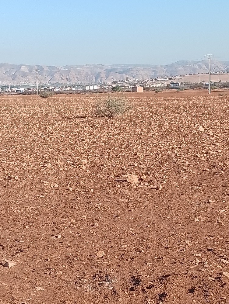 ارض صناعية - 1