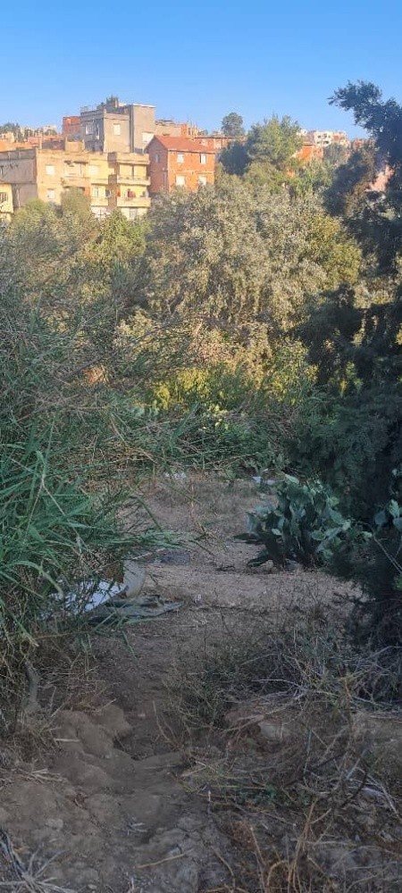 terrain - 3