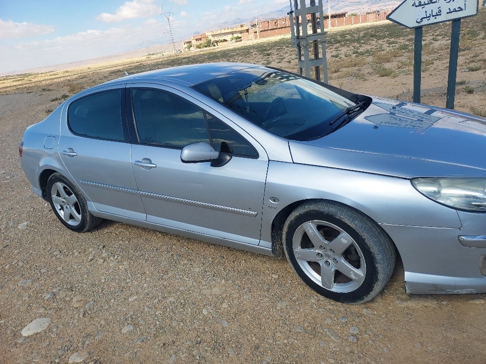 بيجو 407 - 6