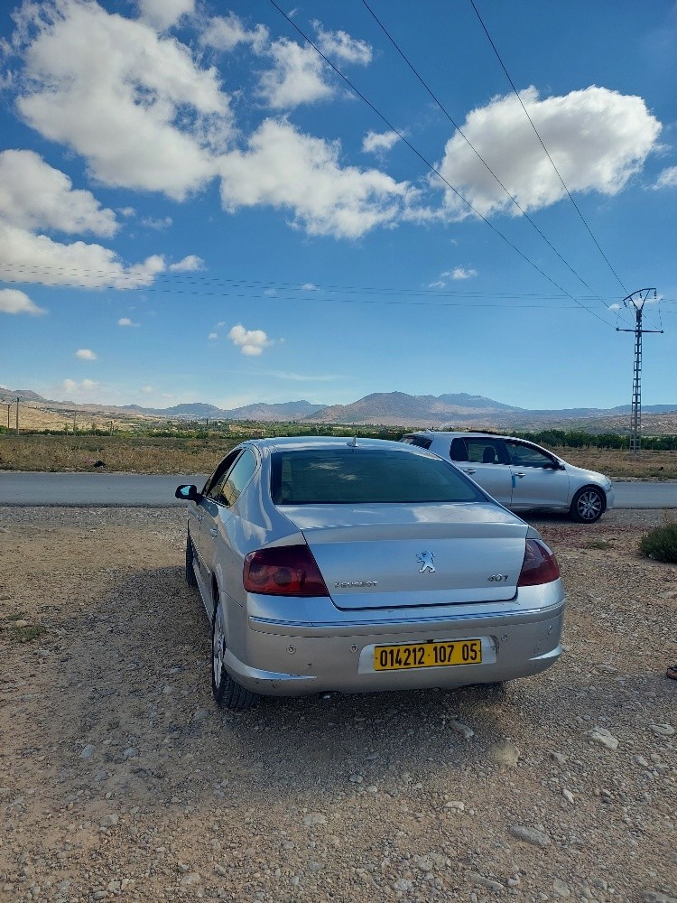 بيجو 407 - 5