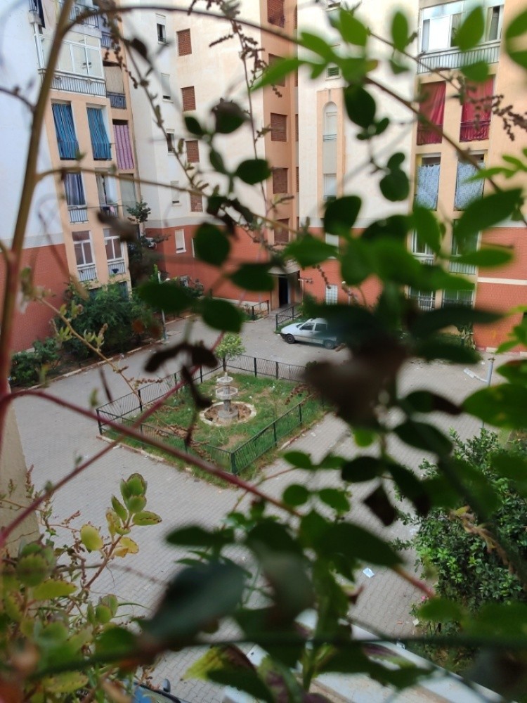 Appartement a vendre  - 1