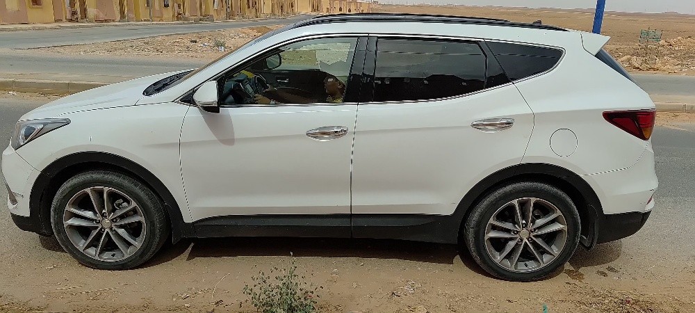 Hyundai santafe 2017 - 11