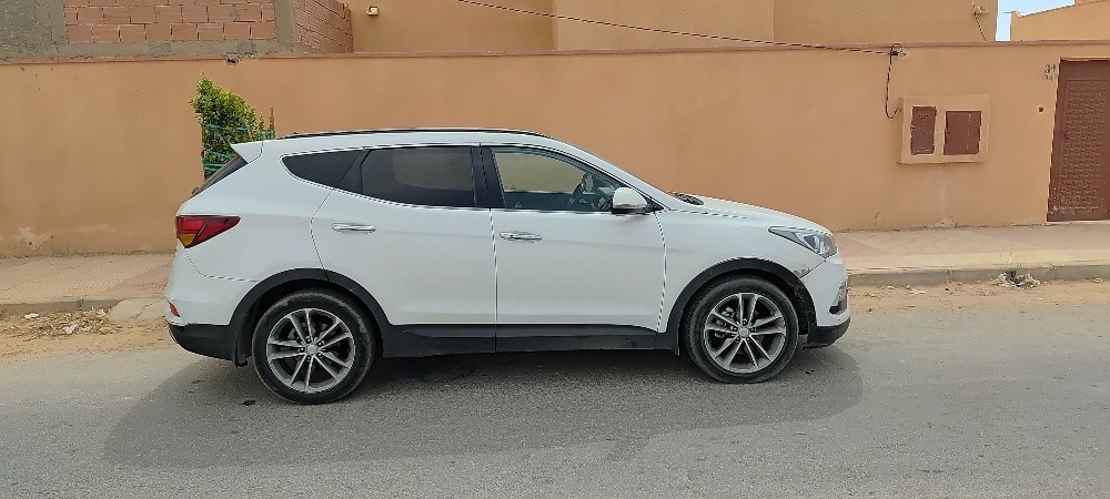 Hyundai santafe 2017 - 13