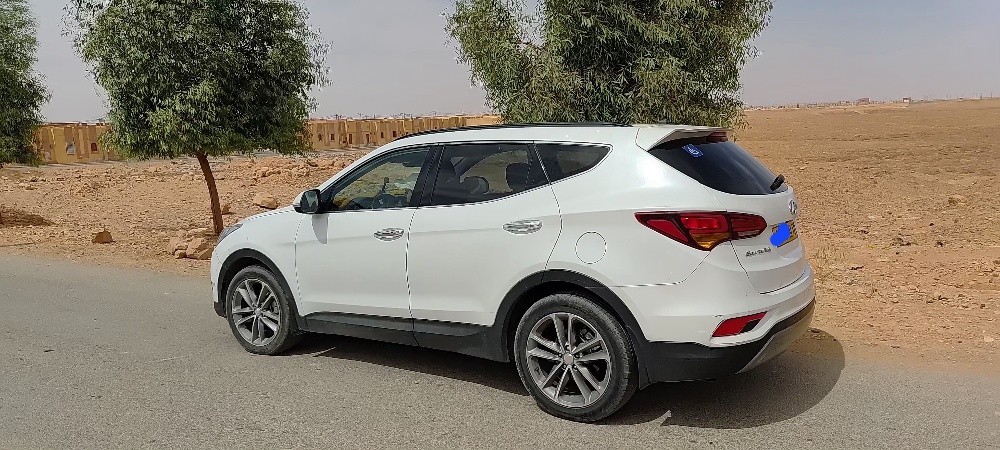 Hyundai santafe 2017 - 4