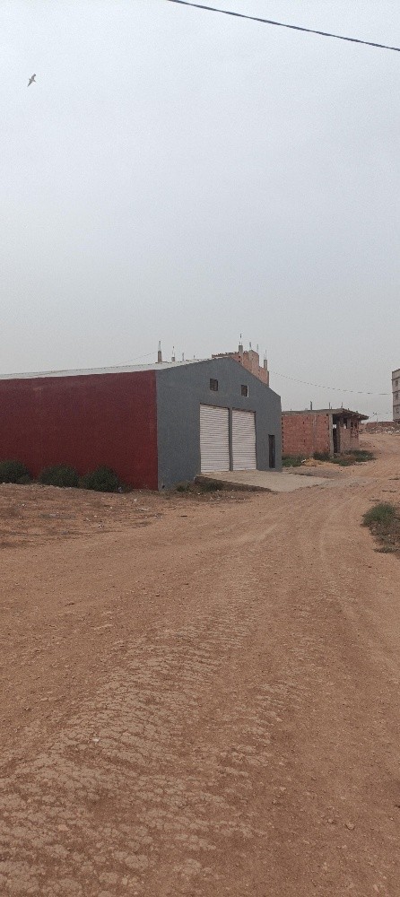 terrain - 4