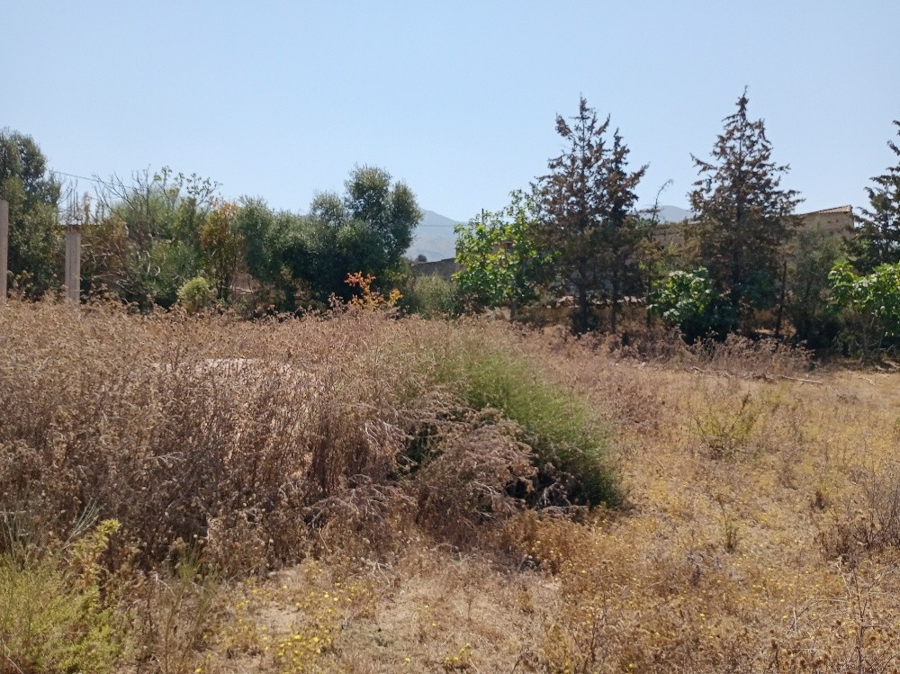Terrain a vendre - 5