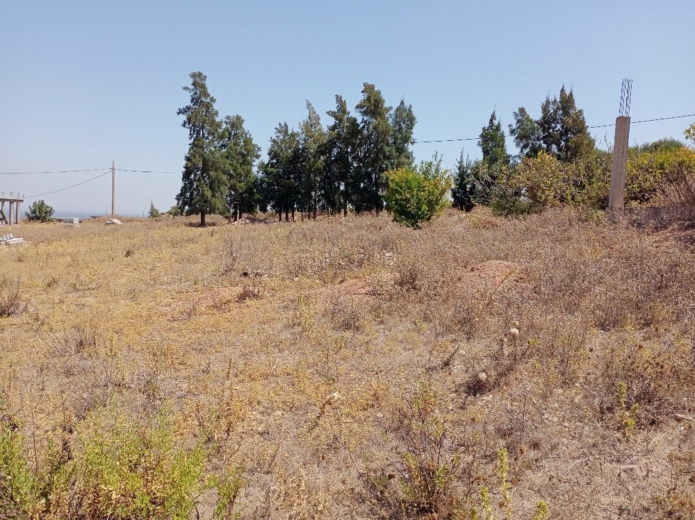 Terrain a vendre - 3