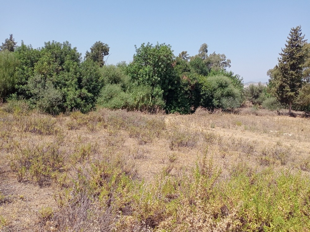 Terrain a vendre - 4
