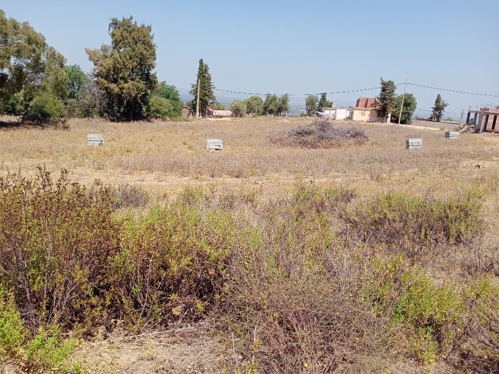 Terrain a vendre - 6