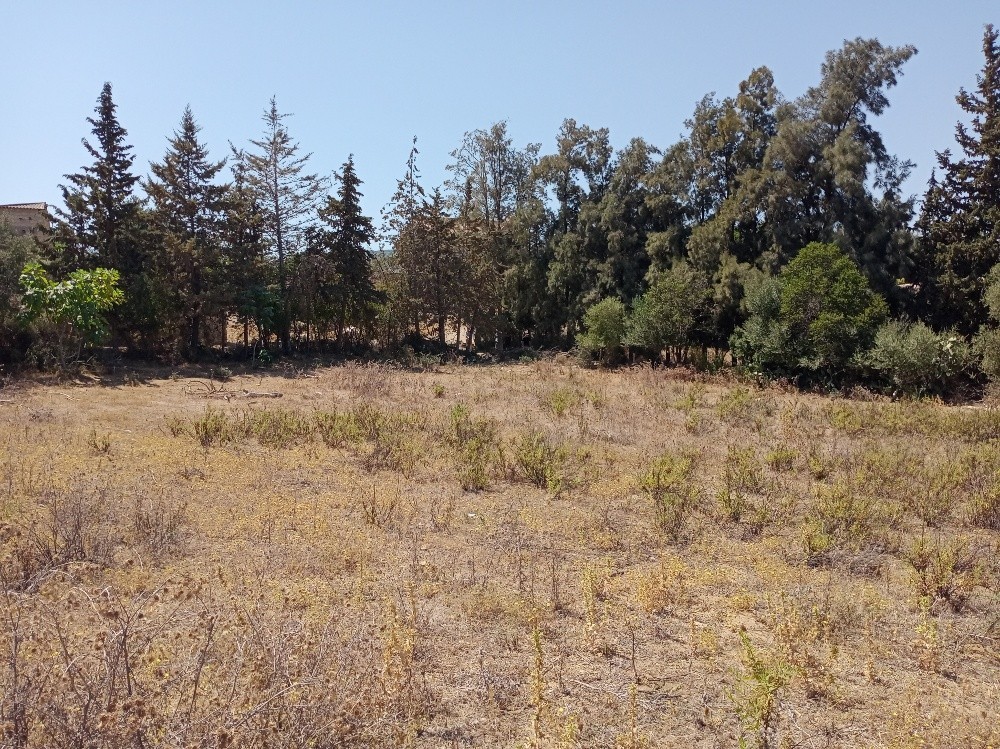 Terrain a vendre - 2