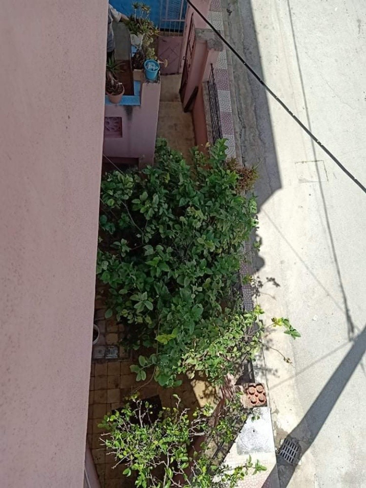 vente maison à nedroma - 3