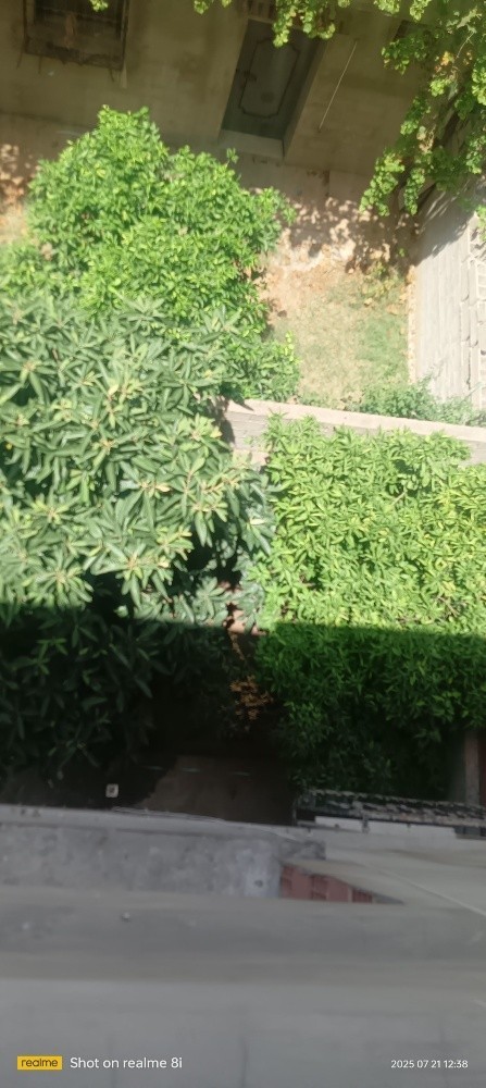 فيلا 3 طوابق بعقد ملكية - 4