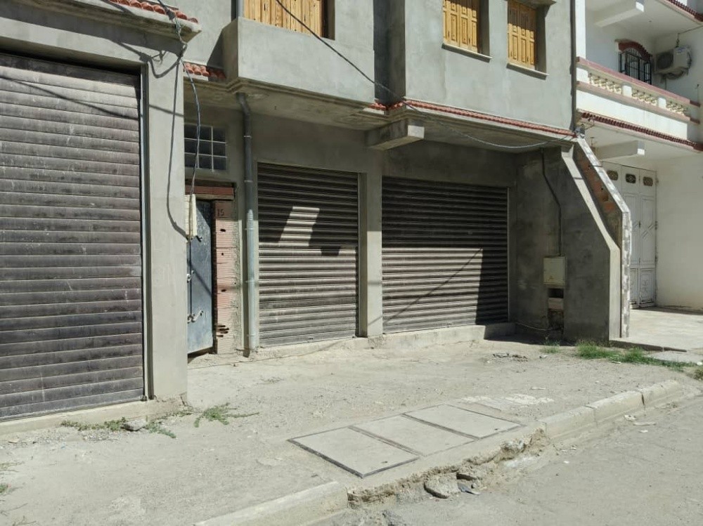 فيل للبيع شبه كامل - 4