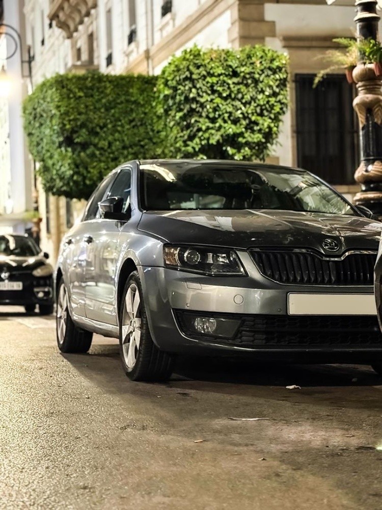 Skoda octavia diessel - 2