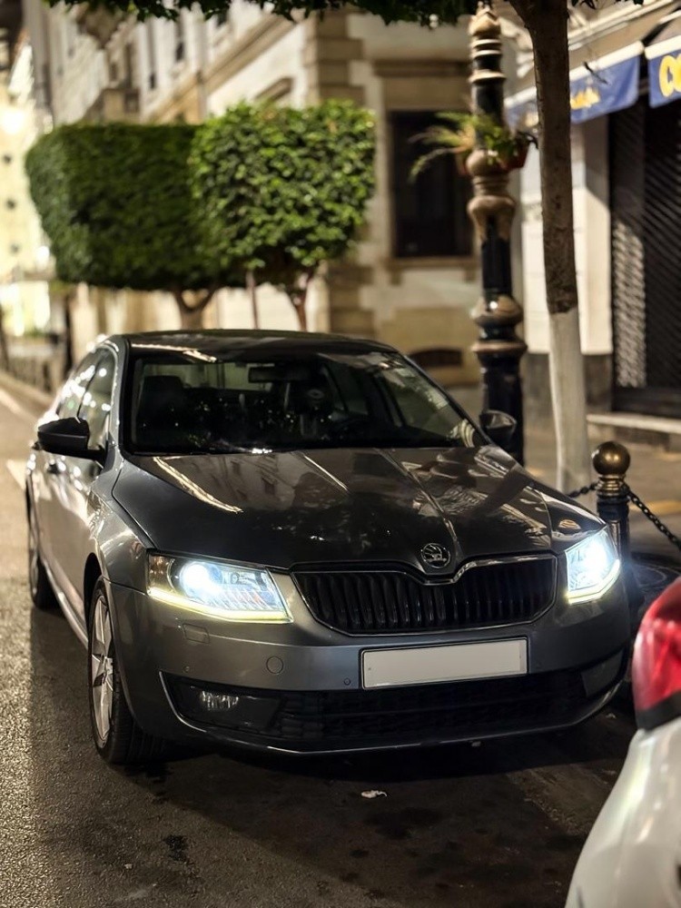 Skoda octavia diessel - 3