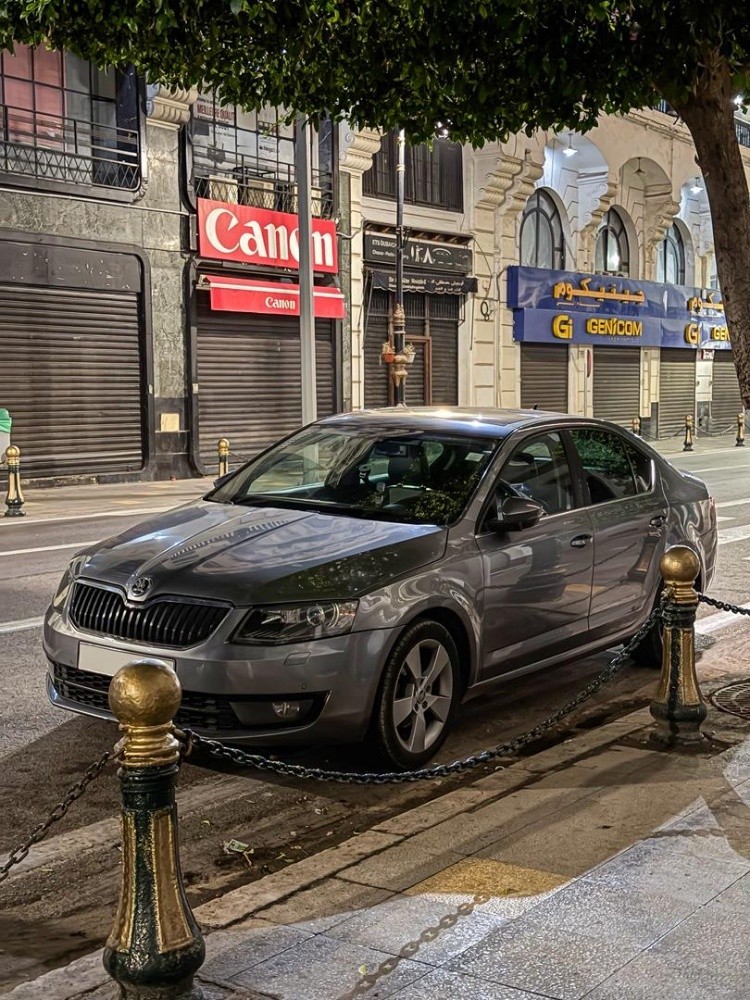 Skoda octavia diessel - 1