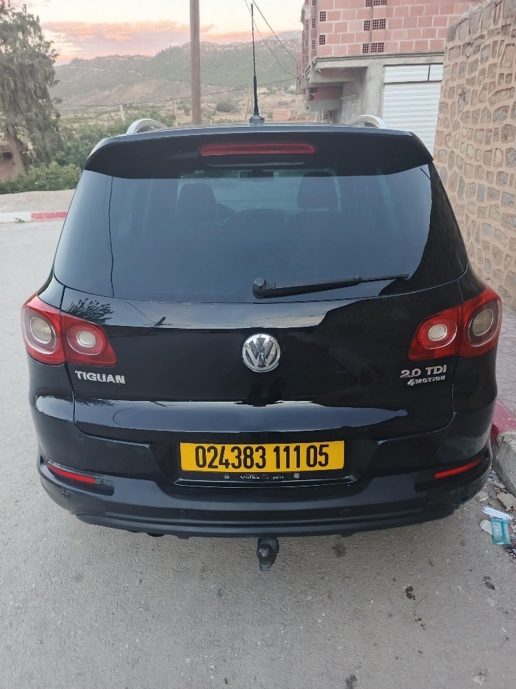 tiguan - 7