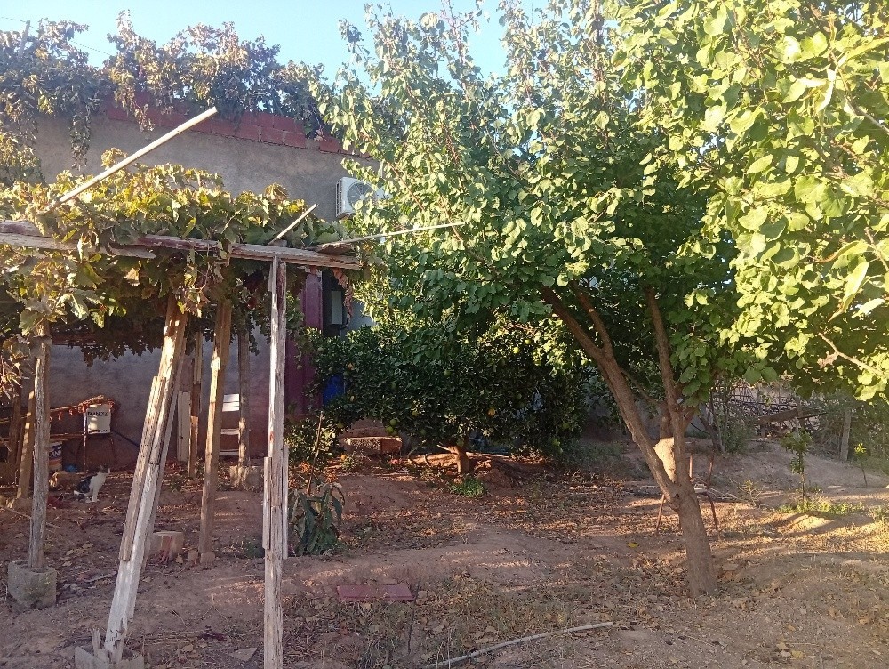 Maison a vendre SidiTaher Souahli - 10