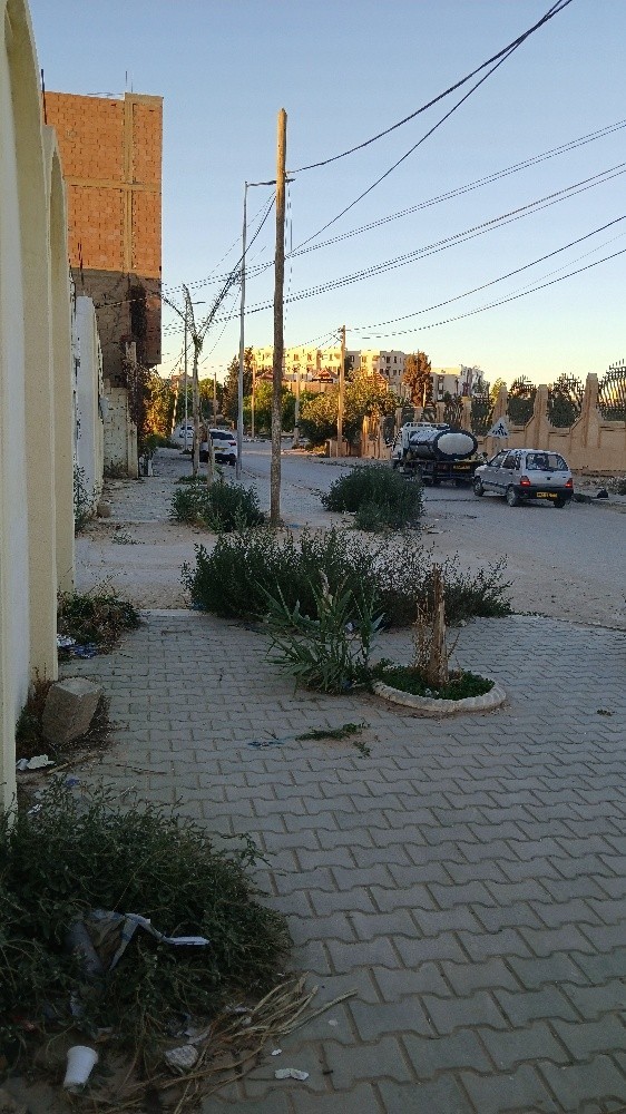 أرض - 8