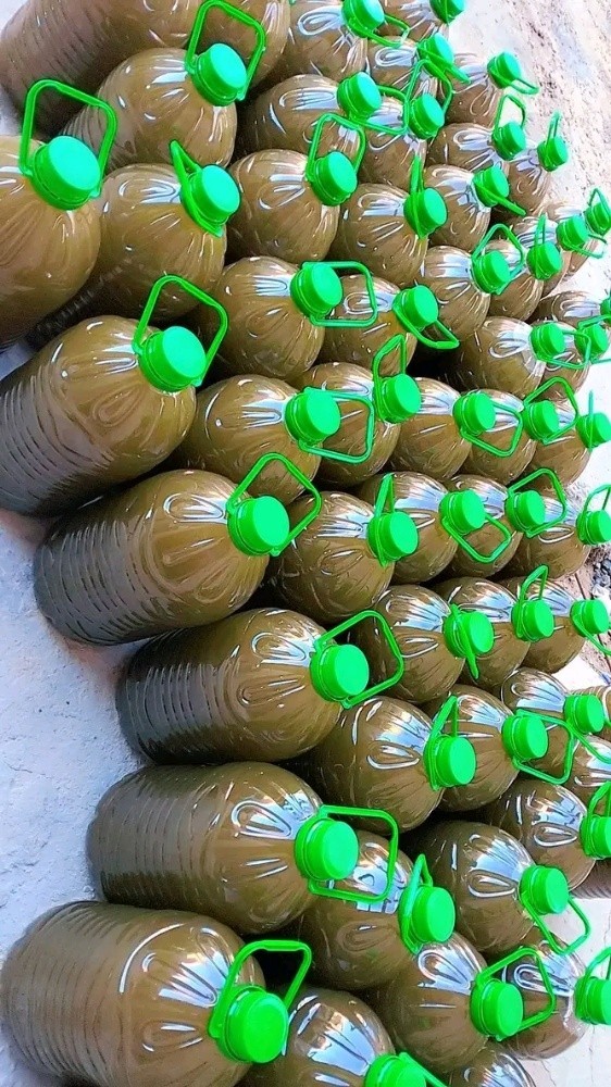 زيت زيتون جملة كونتيتي - 2