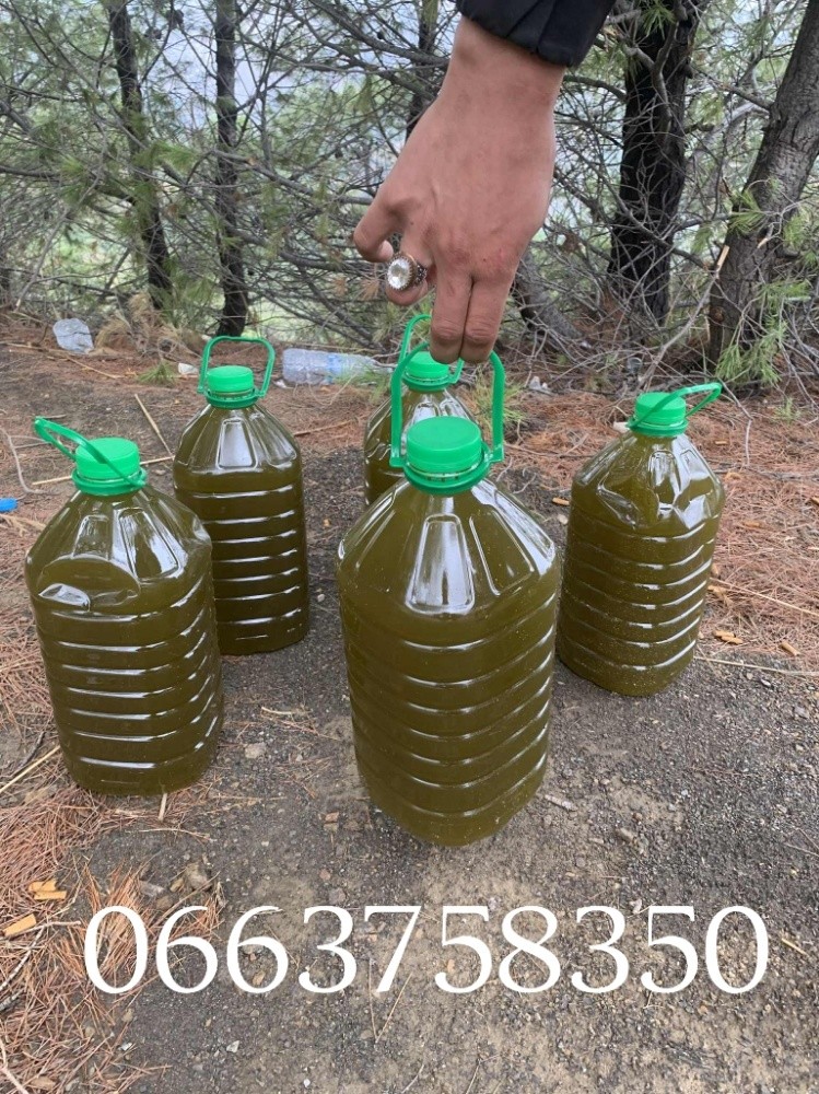 olive oil - 1