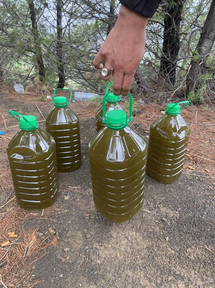 olive oil - 2