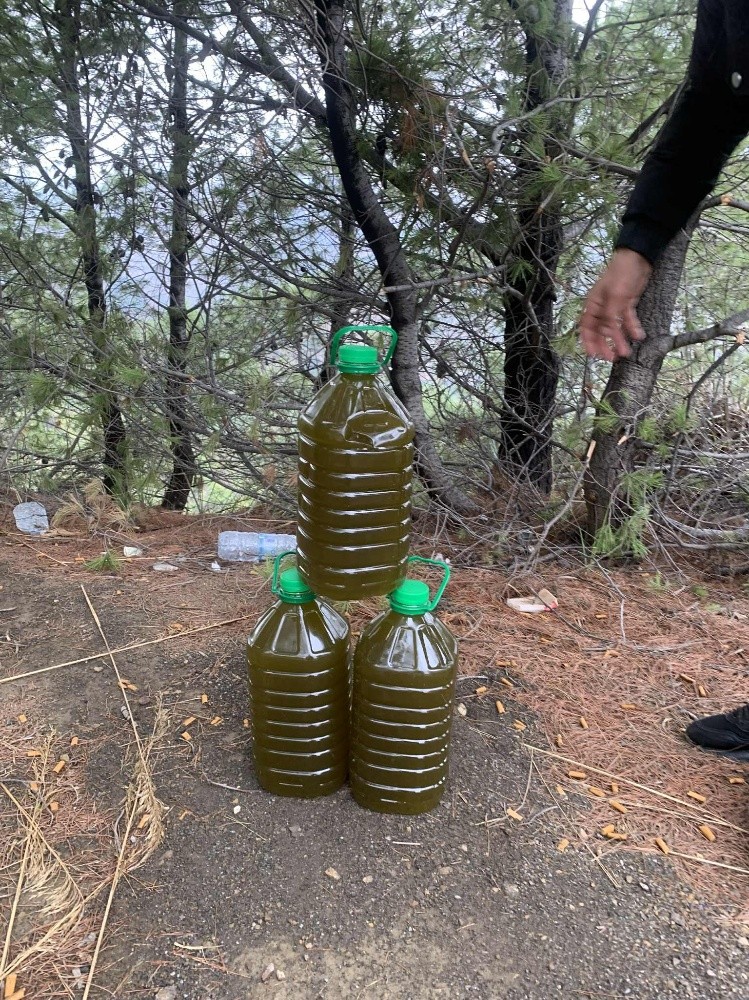 olive oil - 3