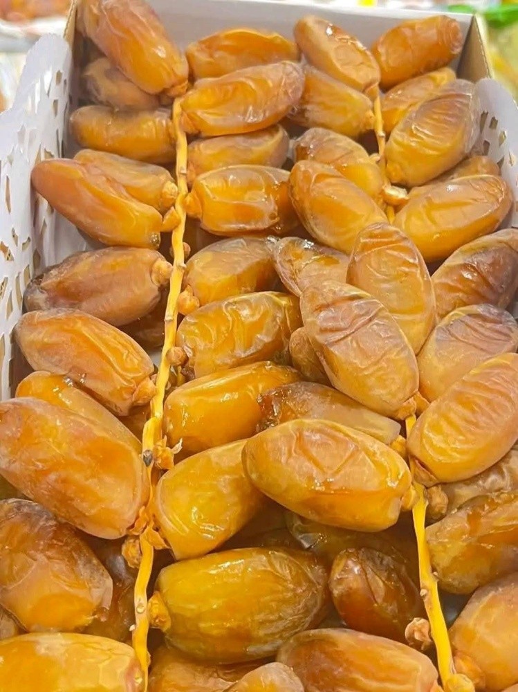 daglat nour - 2
