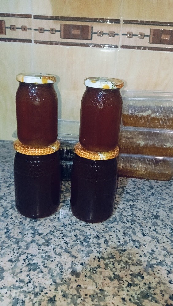 عسل السدر - 1