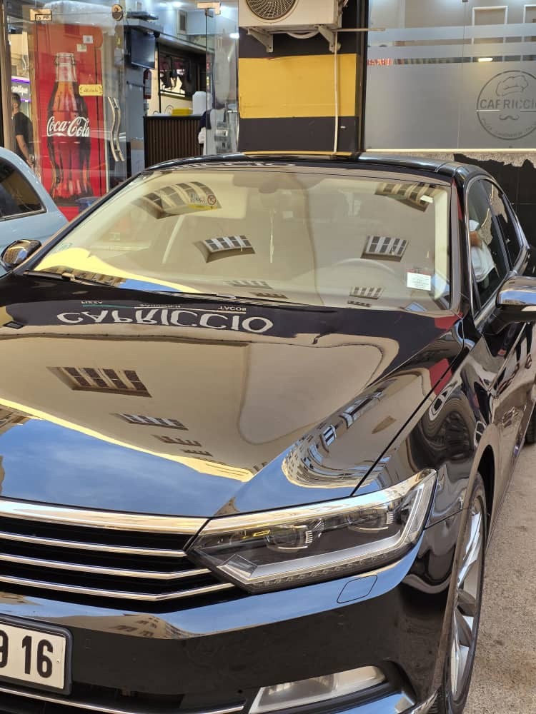 Passat carat - 10