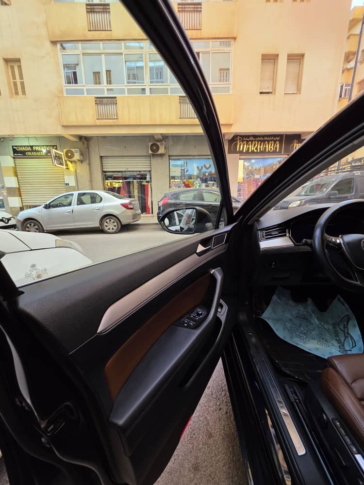 Passat carat - 12