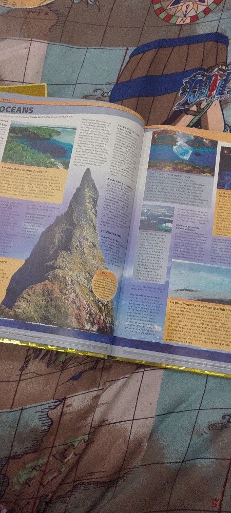 Guinness Book officiel - 3