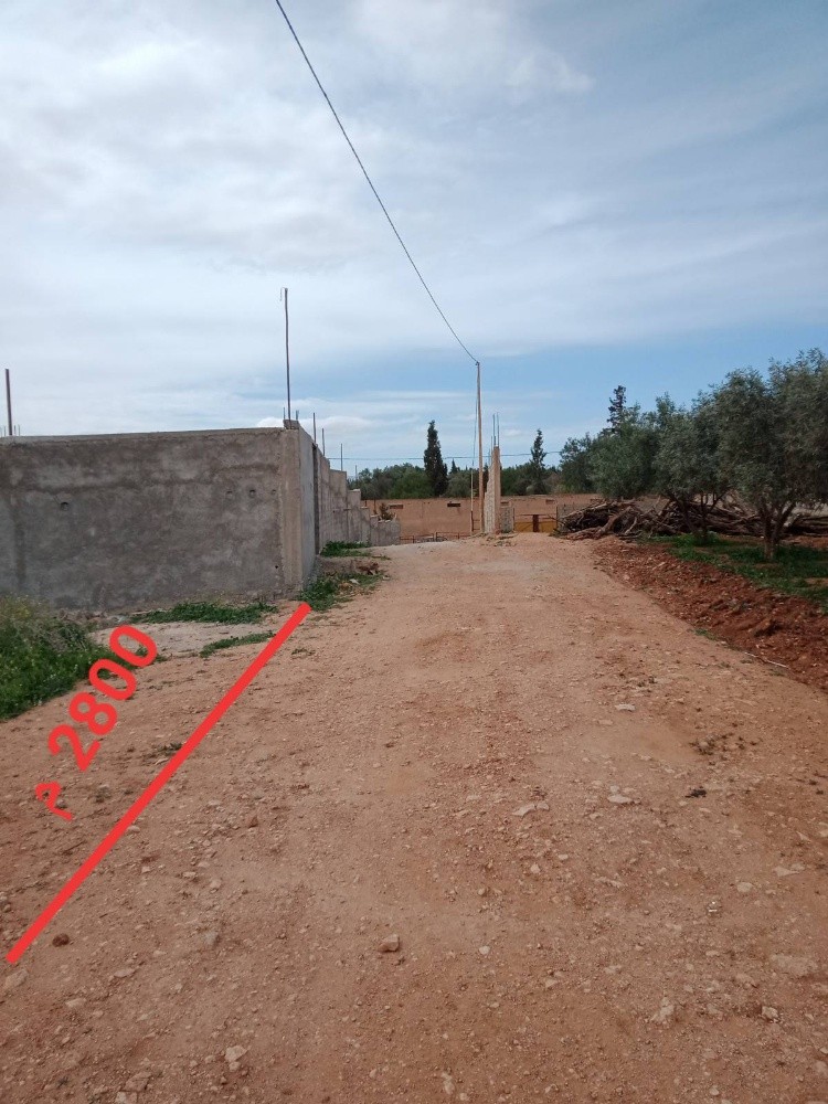terain benyarou - 7