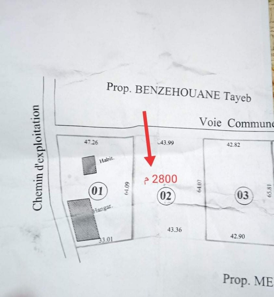 terain benyarou - 5