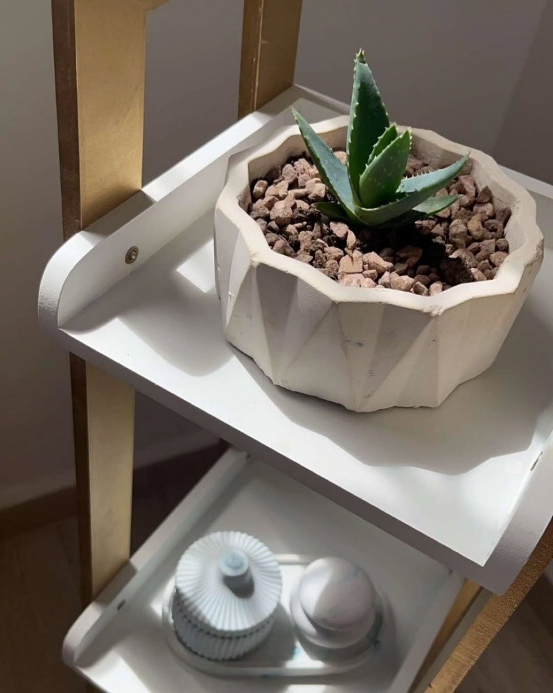 Pot de plantes en ciment - 1