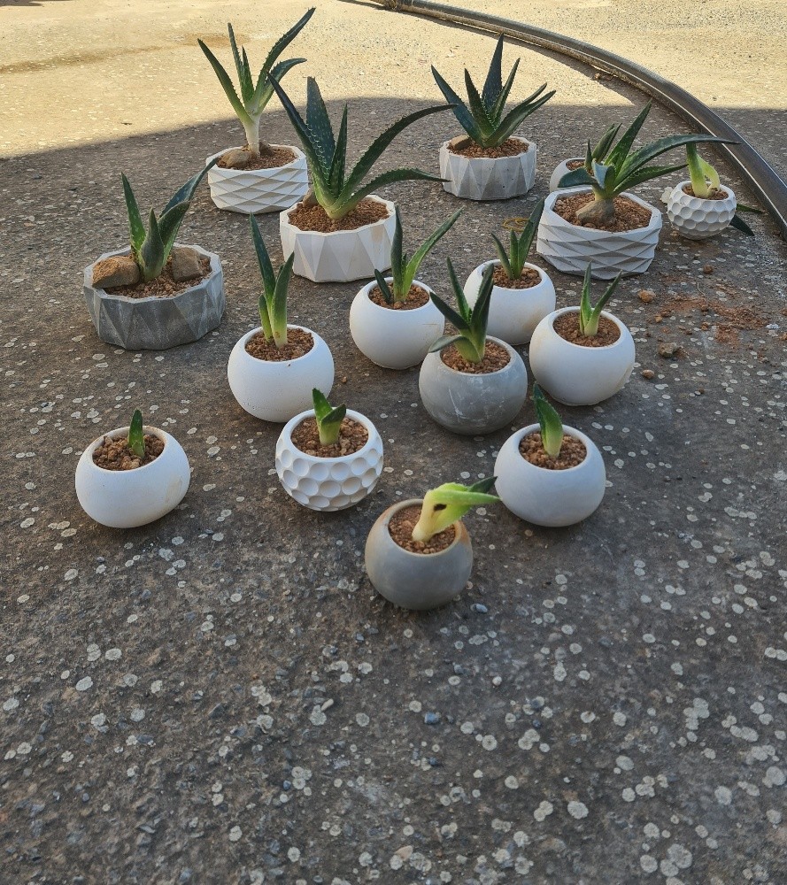 Pot de plantes en ciment - 13
