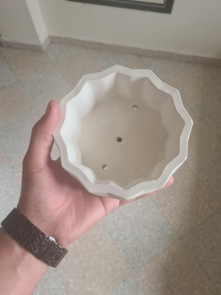 Pot de plantes en ciment - 2
