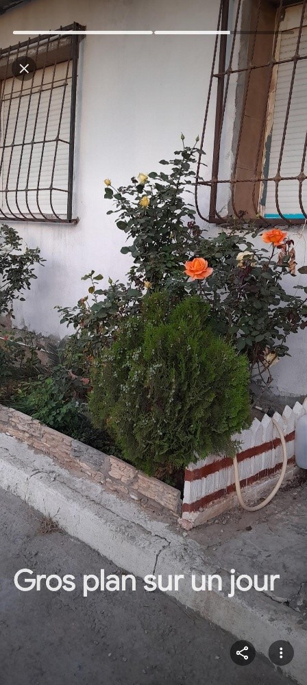 شقة سكنية - 2
