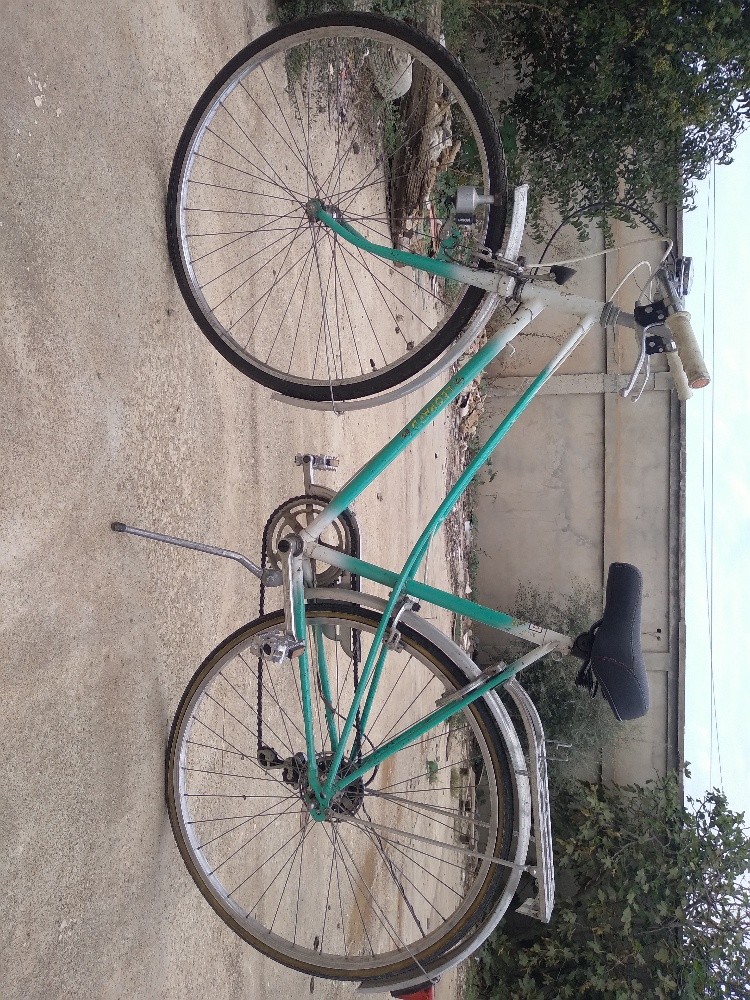 vilo - 5