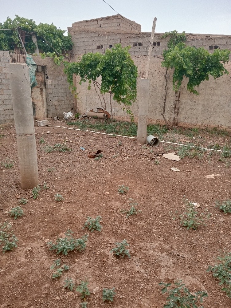 مستودع للكراء  - 4