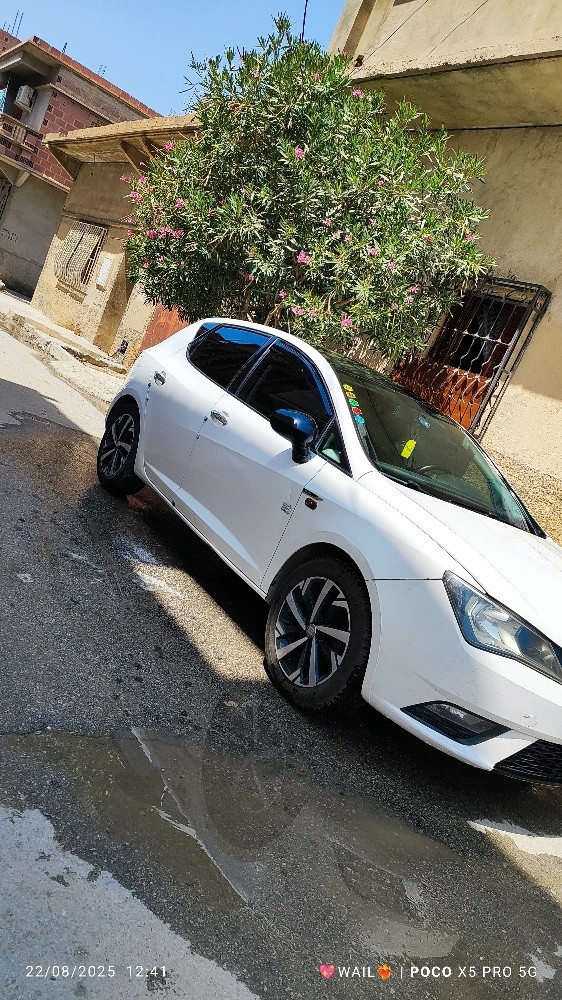 ايبزا فولي 2012 - 5