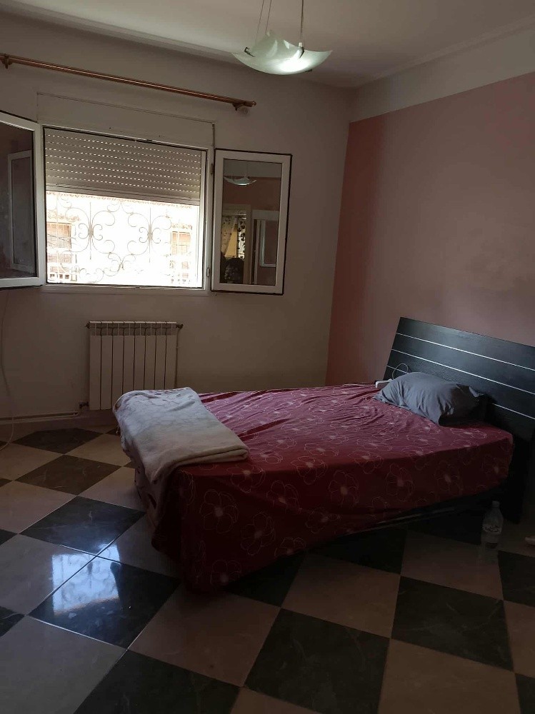 magnifique appartement - 7
