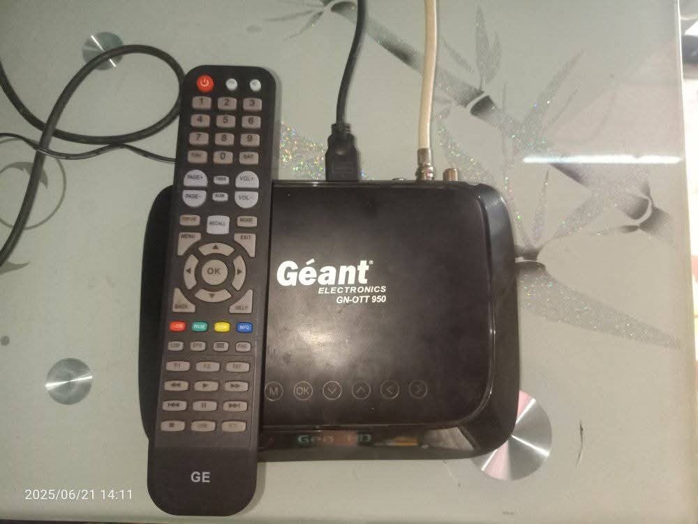 dimo Géant ott - 1