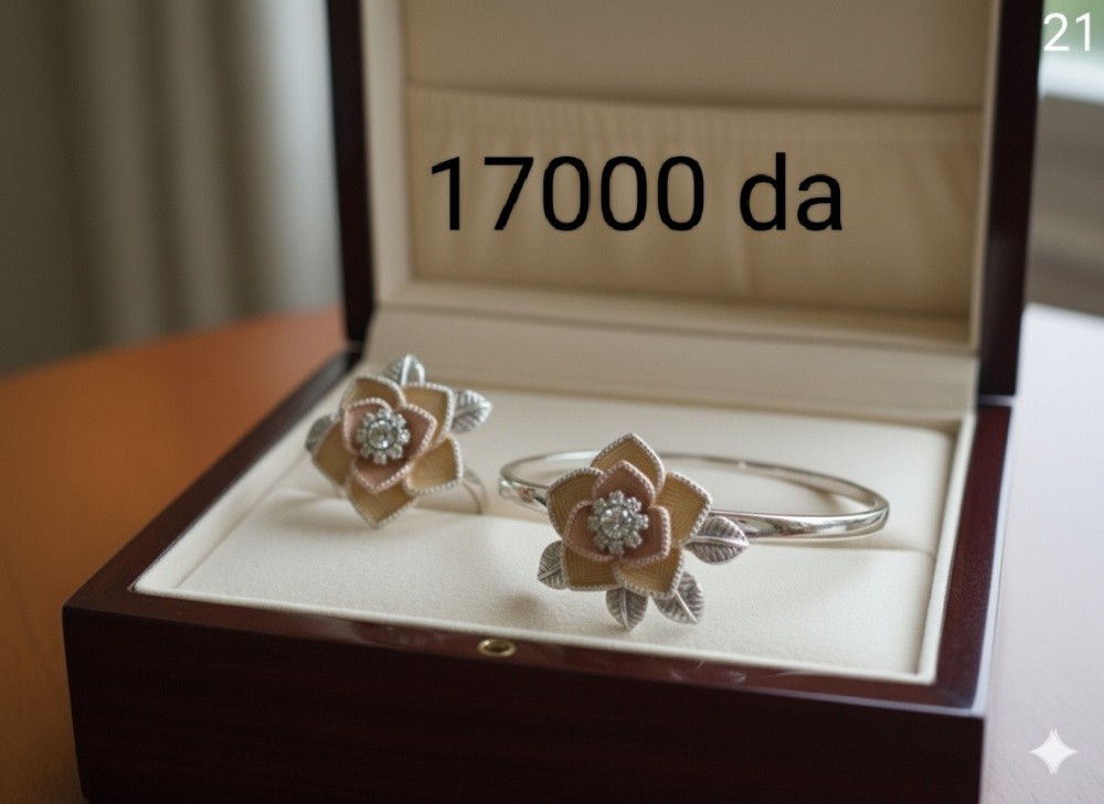 اكسسوارات فضة - 12