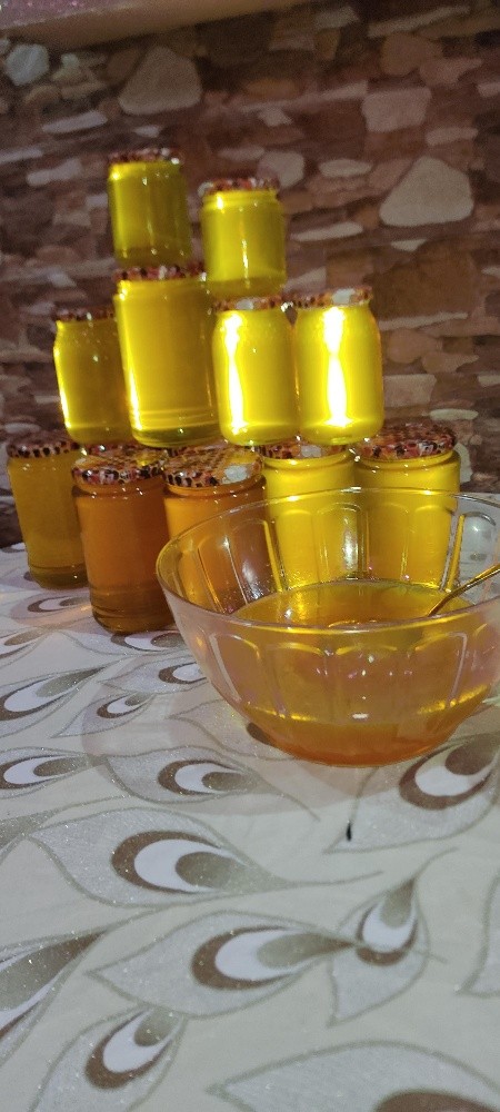 الاسرة - 2