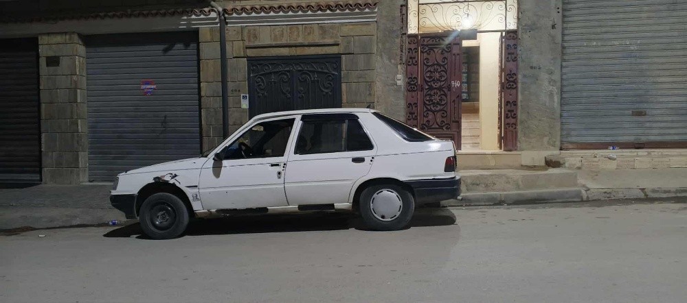 309 بيجو - 1