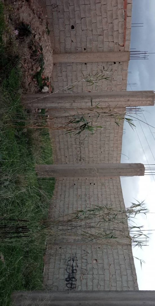 Lot de terrain - 3