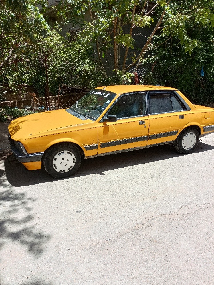 505 بيجو - 1