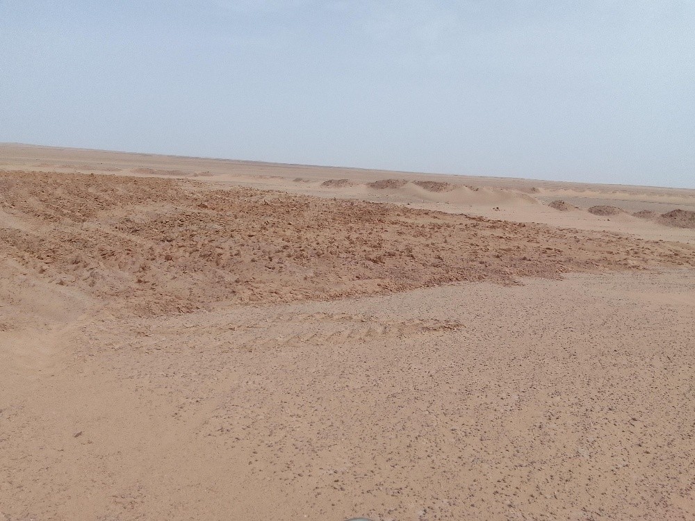 terrain agricole - 1