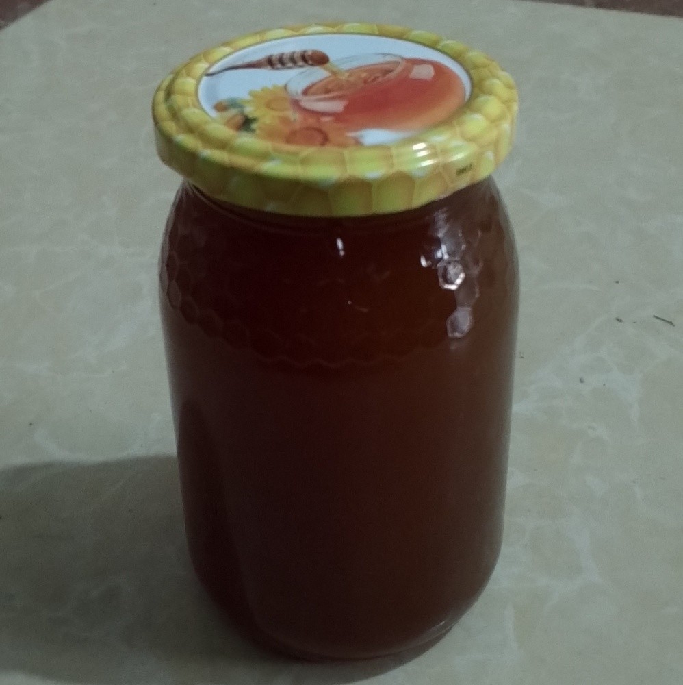 عسل الكاليتوس جملة - 1
